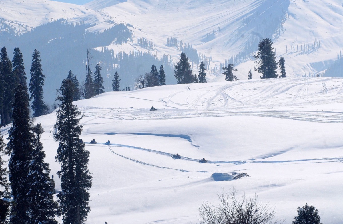 Snow-covered meadow and pines at Gulmarg in winter